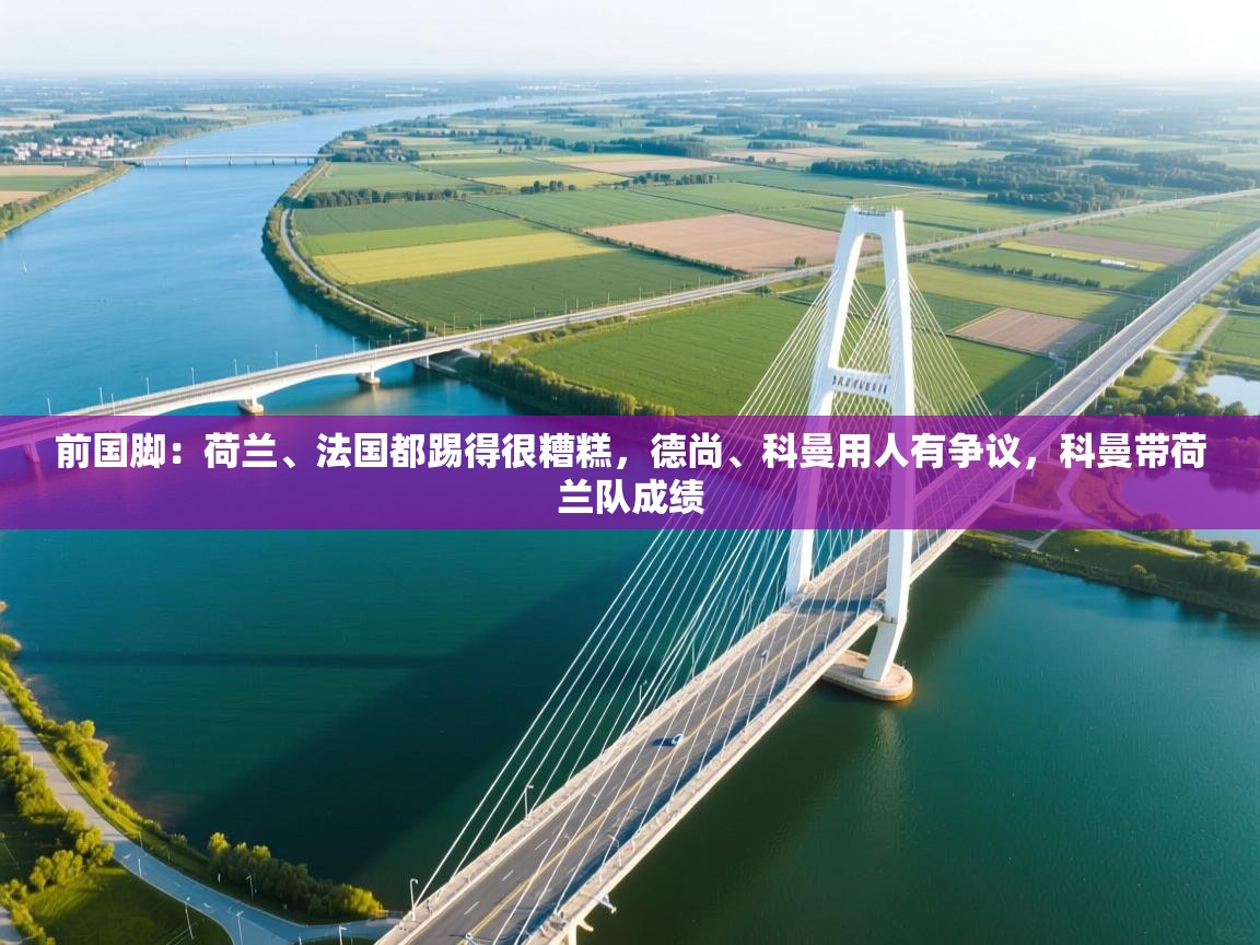 前国脚:荷兰、法国都踢得很糟糕,德尚、科曼用人有争议,科曼带荷兰队成绩 第1张