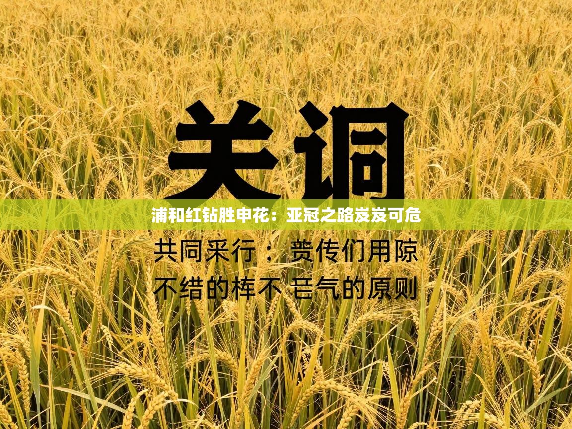 浦和红钻胜申花：亚冠之路岌岌可危  第2张