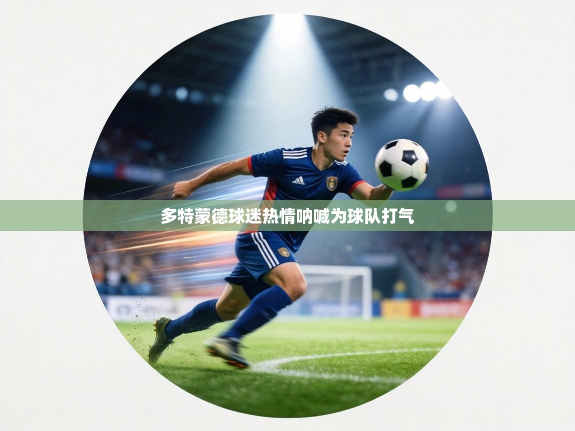 多特蒙德球迷热情呐喊为球队打气